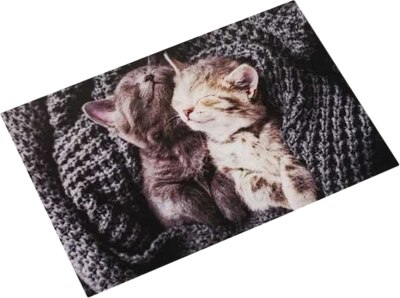 Коврик грязезащитный VORTEX Samba Милота котята 50x80см / 24404 - фото
