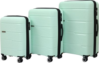 Набор чемоданов PRIDE РР-203 - фото