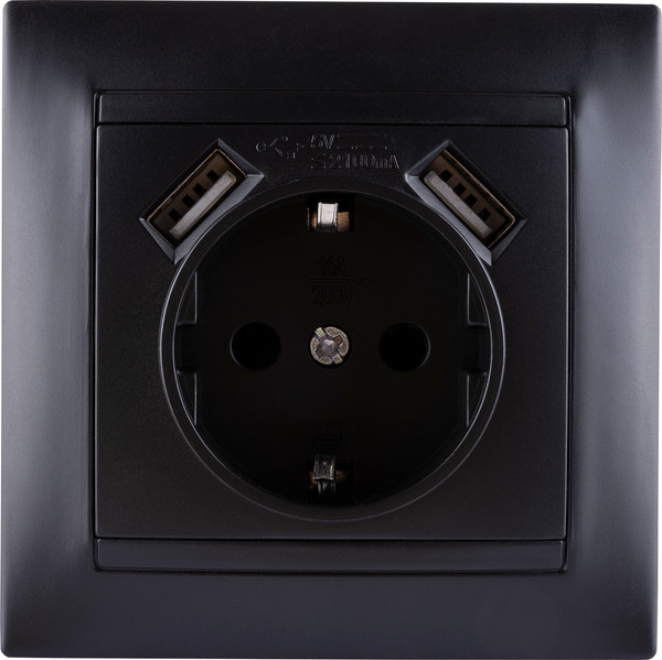 Розетка TDM Лама SQ1815-0642