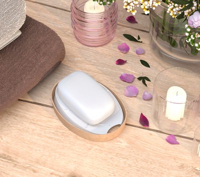 Мыльница Berossi Art Deco Nature АС 73387000