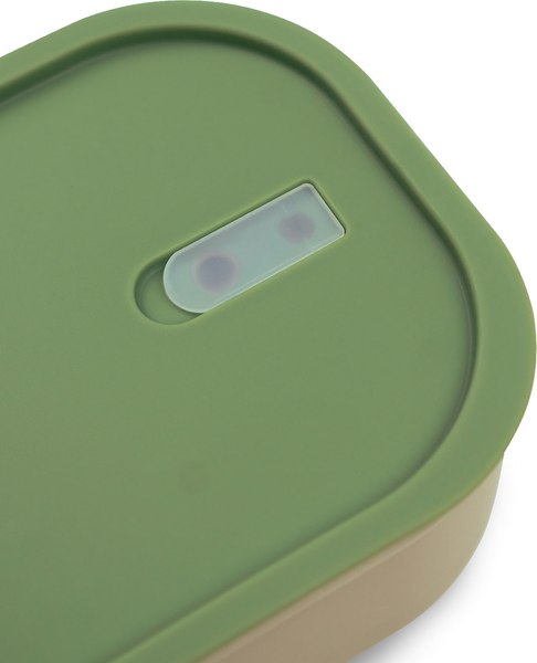 Контейнер Арктика 031-1350-GN/BG