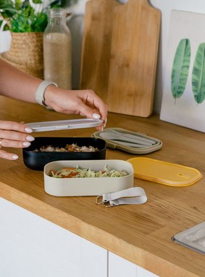 Контейнер Арктика 031-1350-BK/BG