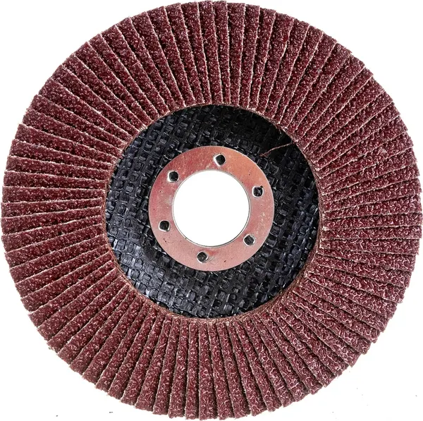 Шлифовальный круг Vira 125мм P25 / 559125 - фото
