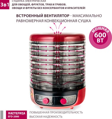 Сушилка для овощей и фруктов Мастерица EFD-2000 3в1