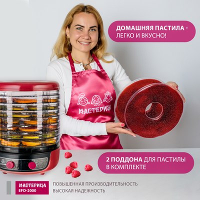 Сушилка для овощей и фруктов Мастерица EFD-2000 3в1