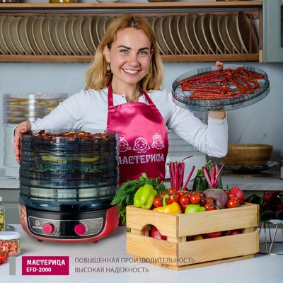Сушилка для овощей и фруктов Мастерица EFD-2000 3в1
