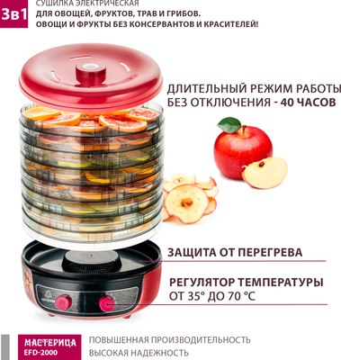 Сушилка для овощей и фруктов Мастерица EFD-2000 3в1