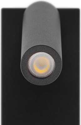 Спот Citilux Декарт CL704431