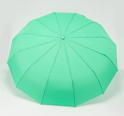 Зонт складной Rain Berry 734-31203.4