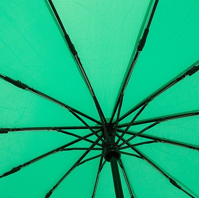 Зонт складной Rain Berry 734-31203.4