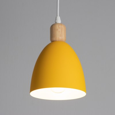 Потолочный светильник BayerLux Колпак / 10815822