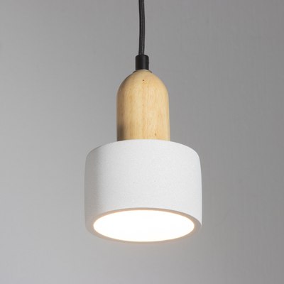 Потолочный светильник BayerLux Сидней / 10421119