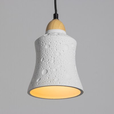 Потолочный светильник BayerLux Дери / 10421109