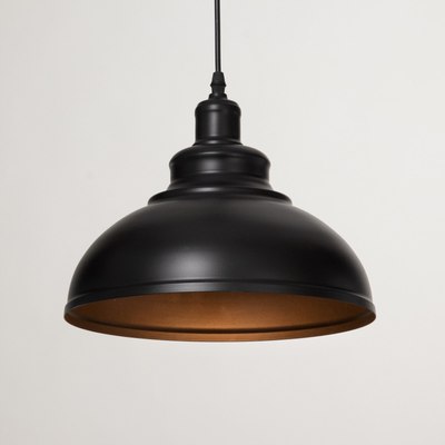 Потолочный светильник BayerLux 1250/1BK / 5465110