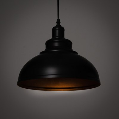 Потолочный светильник BayerLux 1250/1BK / 5465110