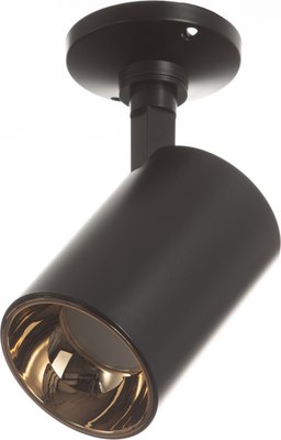 Спот BayerLux Рум / 10385888 - фото