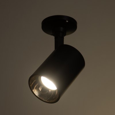 Спот BayerLux Рум / 10385888