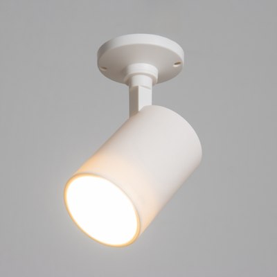 Спот BayerLux Рум / 10385887