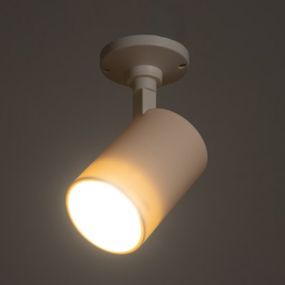 Спот BayerLux Рум / 10385887