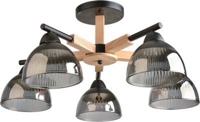 Потолочный светильник Mirastyle BL-8166/5A BK - фото