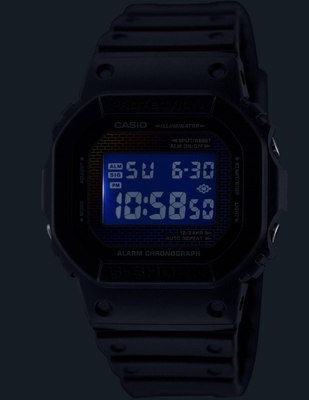 Часы наручные мужские Casio DW-5600RW-1E