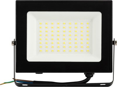 Прожектор ЭРА Pro LPR-062-0-65K-050 / Б0064625 - фото