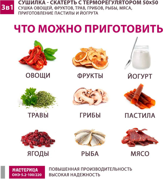 Сушилка для овощей и фруктов Мастерица ОНЭ-5.2-100/220