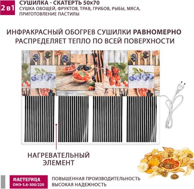 Сушилка для овощей и фруктов Мастерица ОНЭ-5.6-300/220