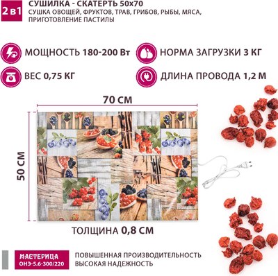 Сушилка для овощей и фруктов Мастерица ОНЭ-5.6-300/220