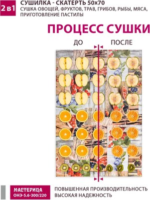 Сушилка для овощей и фруктов Мастерица ОНЭ-5.6-300/220