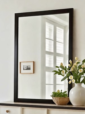 Зеркало Emze Прямоугольное 50x70 / DK4002.CHE