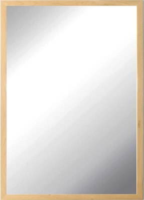 Зеркало Emze Прямоугольное 50x70 / DK4002.DUB - фото