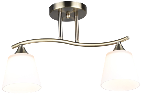 Потолочный светильник Aitin-Pro НПБ 02-2x60-101 / N6581/2 - фото