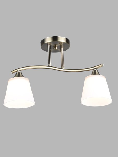 Потолочный светильник Aitin-Pro НПБ 02-2x60-101 / N6581/2