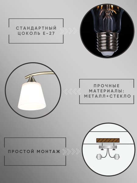 Потолочный светильник Aitin-Pro НПБ 02-2x60-101 / N6581/2