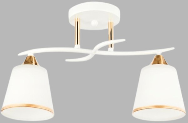 Потолочный светильник Aitin-Pro НПБ 02-2x60-101 / 6100/2 - фото