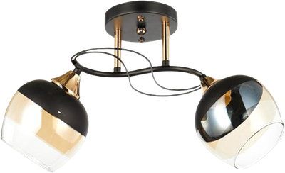 Потолочный светильник Aitin-Pro НПБ 02-2x60-101 / 6107/2 - фото