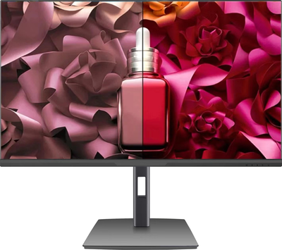 Монитор Pinebro GF-2404AP - фото