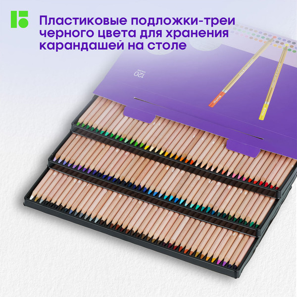 Набор цветных карандашей Berlingo SuperSoft. Pro / SP00120