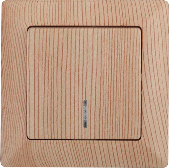 Выключатель INTRO Solo 4-102-11 / Б0053572 - фото