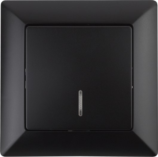 Выключатель INTRO Solo 4-102-05 / Б0053566 - фото