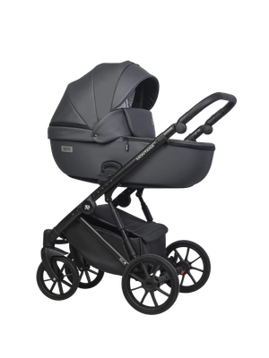 Детская универсальная коляска Riko Montana Ecco 2 в 1 - фото