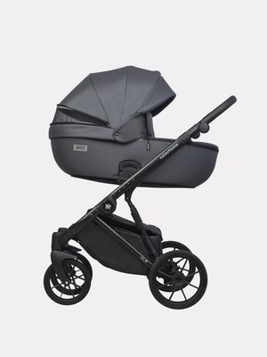 Детская универсальная коляска Riko Montana Ecco 2 в 1