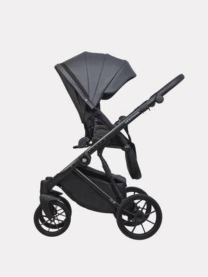 Детская универсальная коляска Riko Montana Ecco 2 в 1