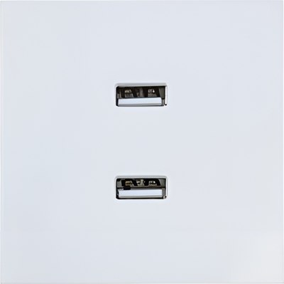 Розетка Lezard Zima 704-0288-192 - фото