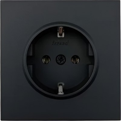 Розетка Lezard Zima 704-4288-122BQC - фото