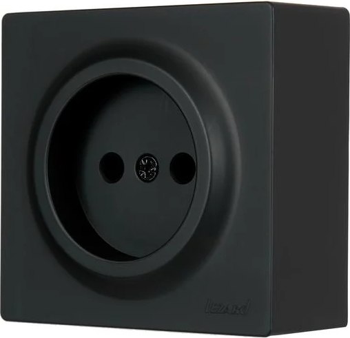 Розетка Lezard Leto 752-4200-121B - фото