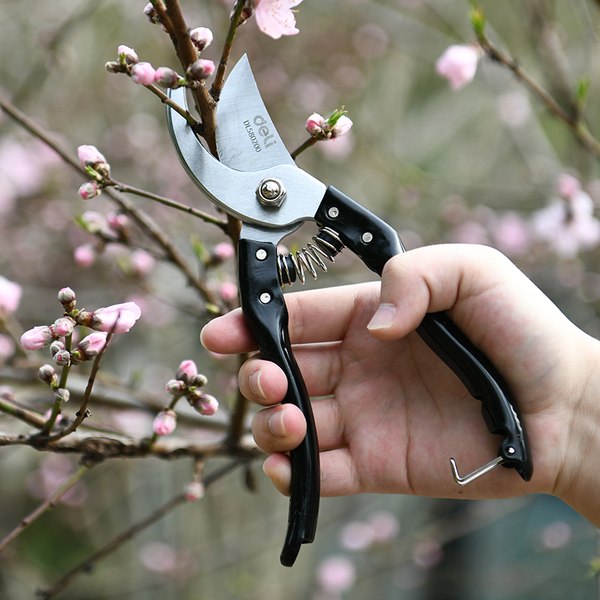 Секатор механический Deli EDL580200