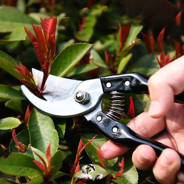 Секатор механический Deli EDL580200