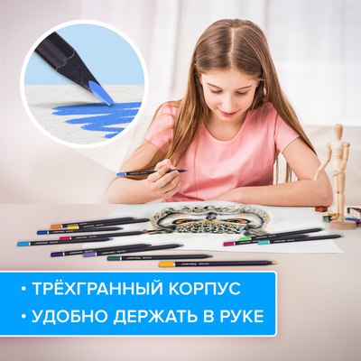 Набор цветных карандашей Brauberg Black Wood / 181948